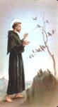 Saint Francis St. Francis [of Assisi], if we consider some earthly creatures as ‘brother’ and ‘sister,’ why couldn’t we also talk of an ‘extraterrestrial brother’? He would also belong to creation.”