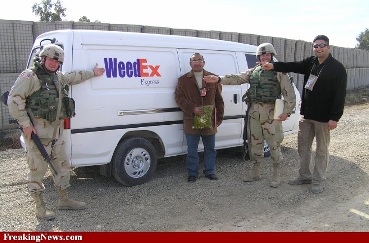 WeedEx--18911