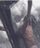 Jesus_in_rain_died_4_us