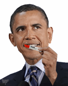 LipstickPigObama