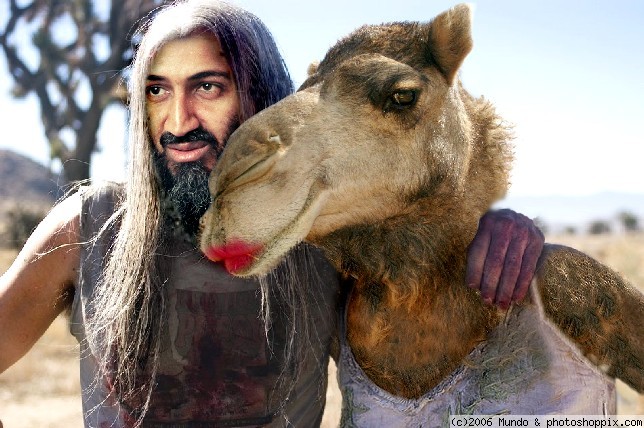 laden_and_camel