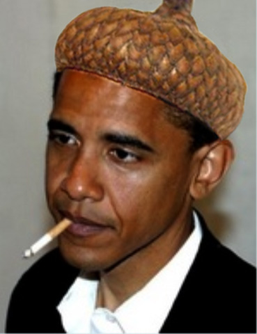 Obama-Acorn-head