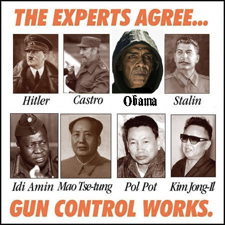 gun control experts