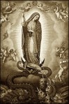 Our-Lady-of-Guadalupe-Virgin-Mary-Steps-on-Serpent-Devil-Satan-Head_001
