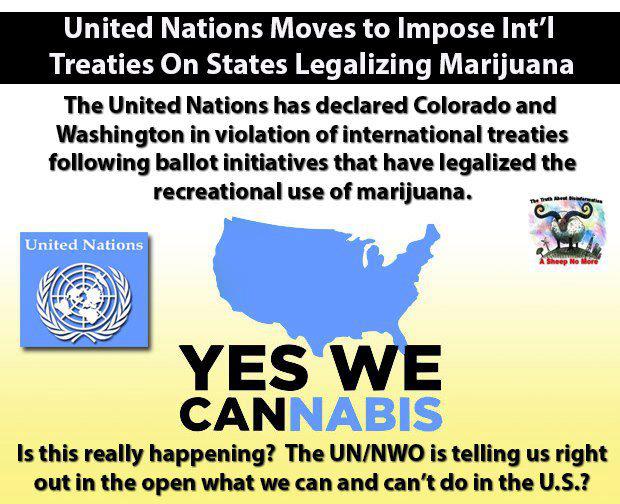 374426_404259782975840_1960069631_n