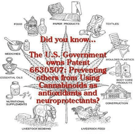 395017_406455219422963_413206611_n