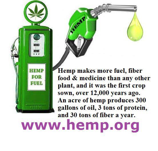 561673_403740133027805_218626613_n