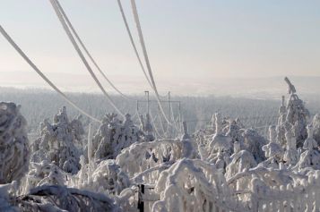 Power lines and trees are seen covered in snow in the village of Wystepa, near Kielce in central Poland, January 24, 2010. The temperature is to drop to below minus thirty degrees Celsius in some parts of Poland according to local media.  REUTERS/Peter Andrews (POLAND - Tags: ENVIRONMENT)