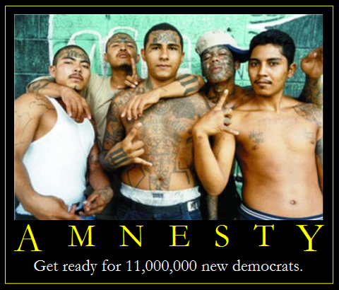 amnesty