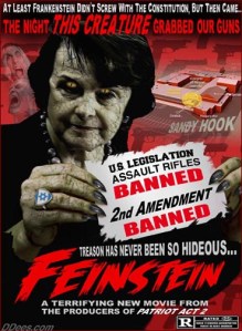 dd395-Feinstein-site