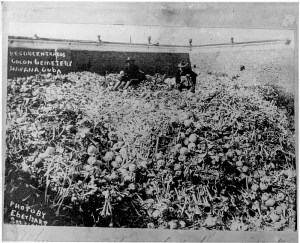 CUBAN VICTIMS OF FASCISM'S DEPOPULATION