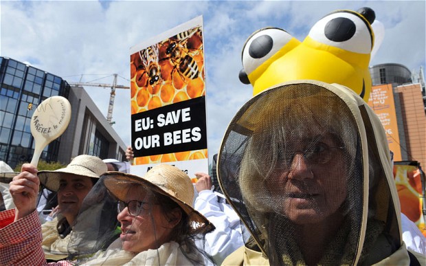 BEES