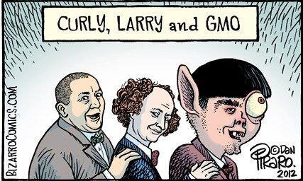 GMO