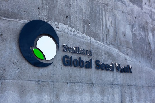 Nestled into the rocky waste of plataberget Mountain about Svalbard's airport, the Global Seed Vault is at once startling and innocuous. Designed by architect Peter W. S¿derman at Barlindhaug Consulting, this concrete, steel and glass structure is the first layer of security to a repository of millions of seeds from around the world, stored here in case of disaster, disease, or war. 