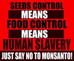 seed-control-monsanto