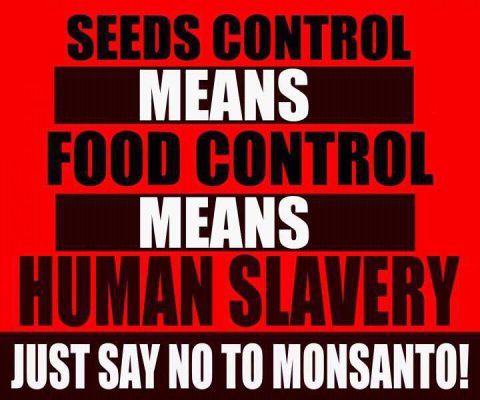 seed-control-monsanto