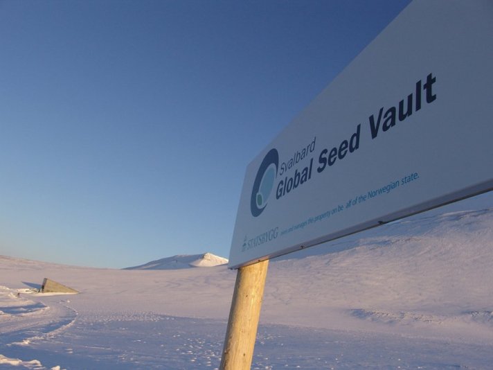 Svalbard Seeds