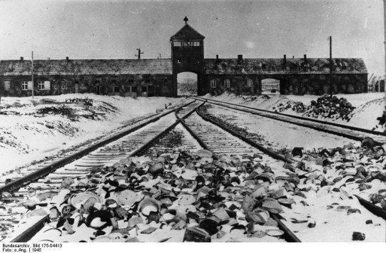 Auschwitz FEMA Death Camp