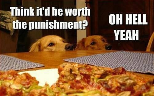 Dogs Punishment Pizza