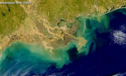 British Petroleum's Gulf Dead Zone.