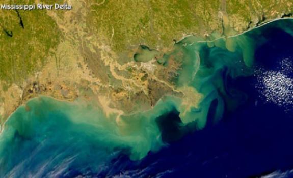 gulf dead zone oil