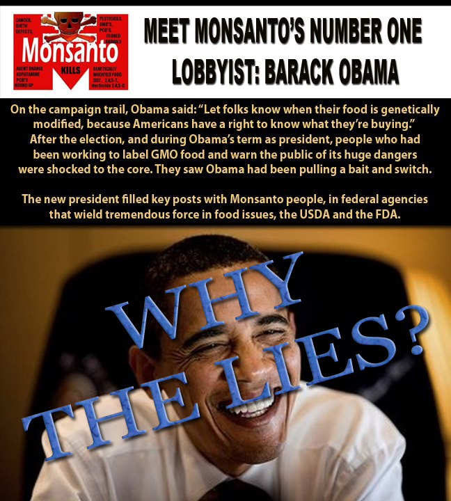 obama lies monsanto