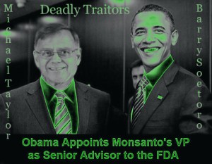 MICHAEL TAYLOR & BARRY SOETORO