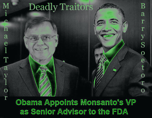 MICHAEL TAYLOR & BARRY SOETORO