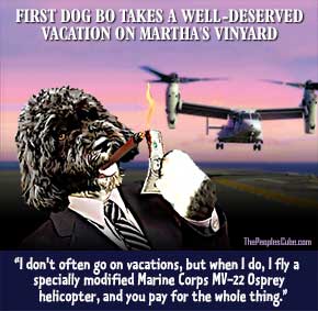 Bo_Obama_Dog_Vacation_Helicopter_290