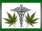 Cannabis Most Medically Used Plant In The World.