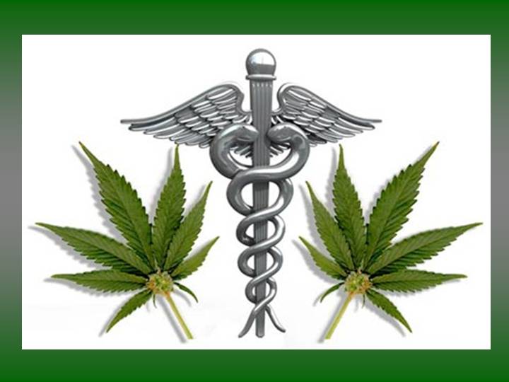 Cannabis Most Medically Used Plant In The World.