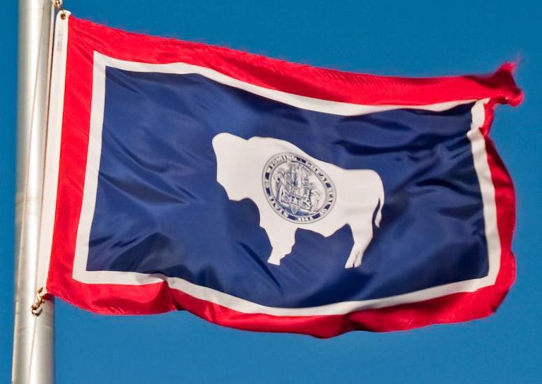 Wyoming State Flag