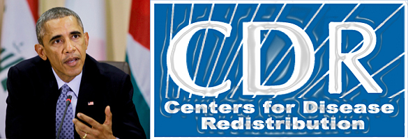 Bird Flu Swine Flu Ebola 