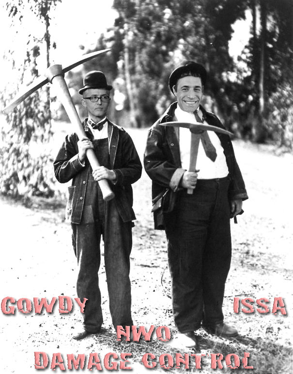 GOWDY ISSA DAMAGE CONTROL