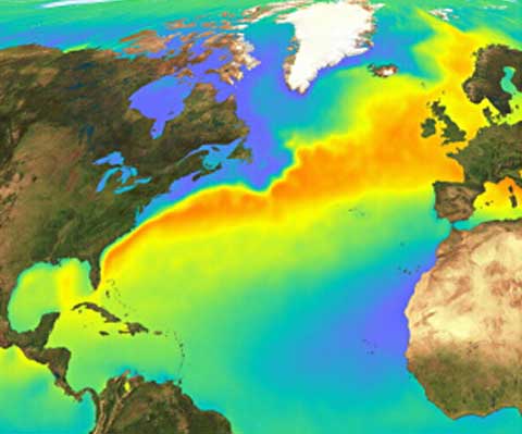 World's Largest Orchestrated Eco~Terrorism.