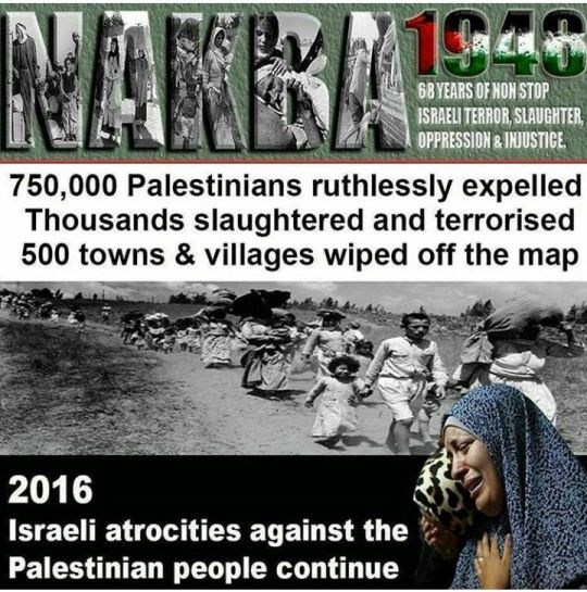 palestine genocide